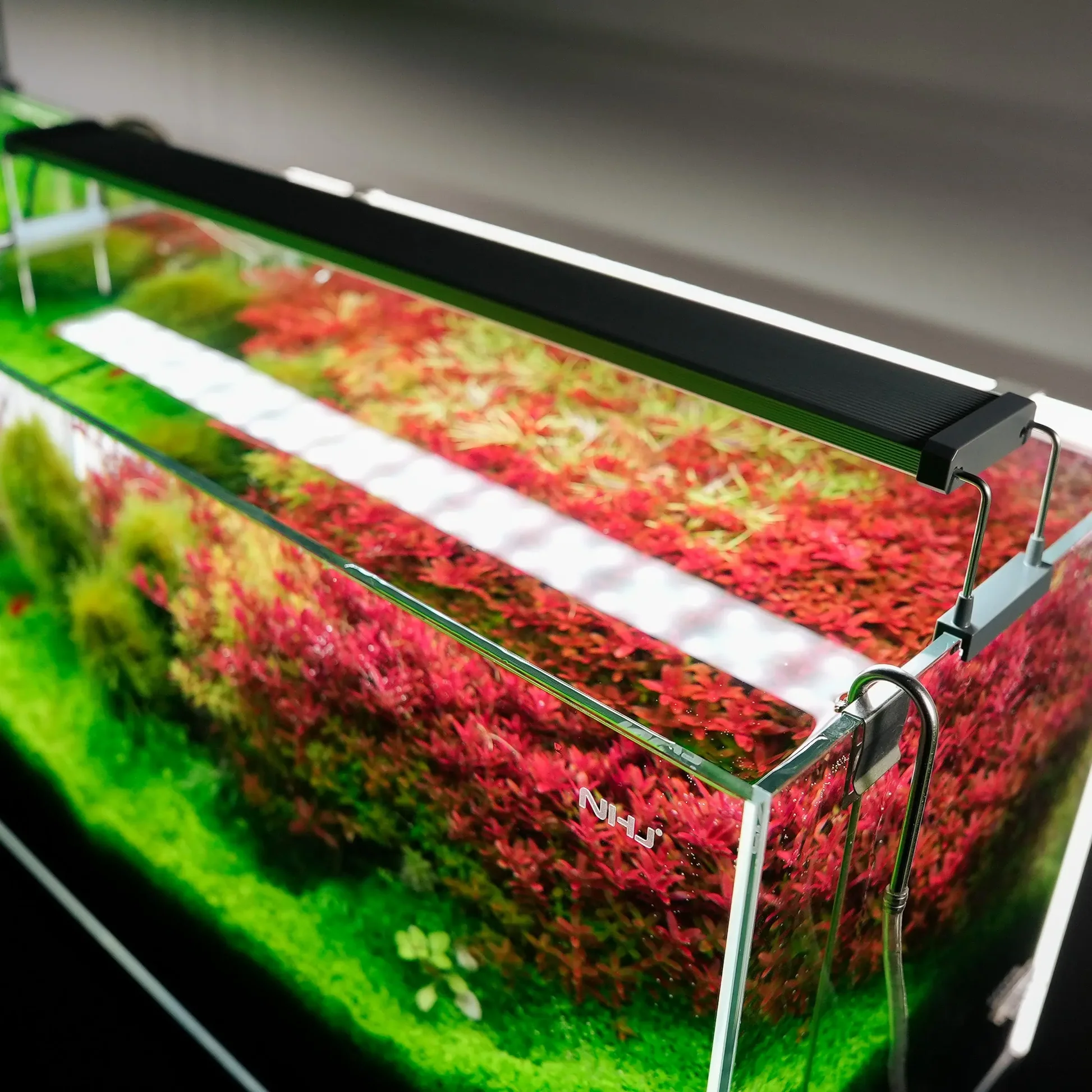 Chihiros B Series LED light fitted on a planted aquarium